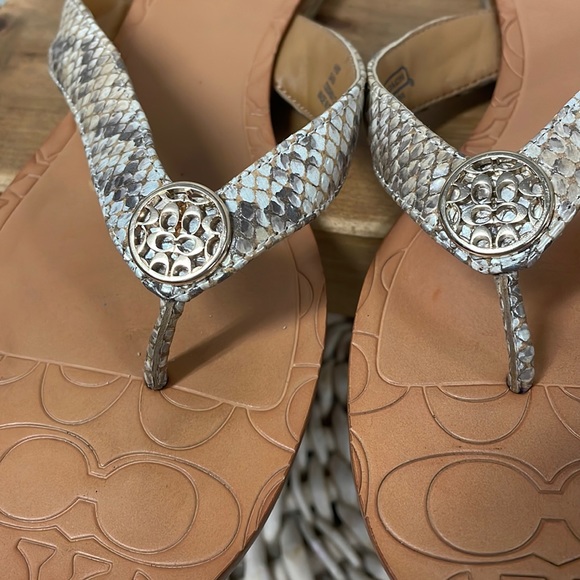 Coach - Picture 9 of 10